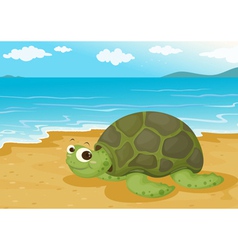 Tortoise on sea shore vector image