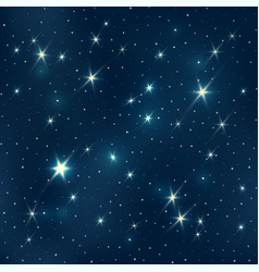 Starry night pattern vector image