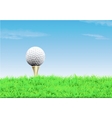 Golf ball on a tee simple golf background vector image