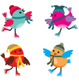 Birds on ice skates vector image