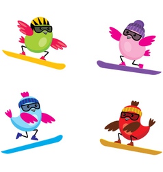 Birds on snouborde vector image