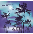 Palm trees at sunset vector image
