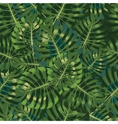 Palm Tropical leaves seamless pattern vector image