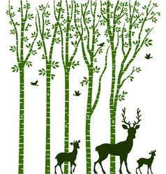 Birch Tree with Deer vector image