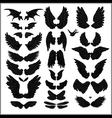 Wing vector image