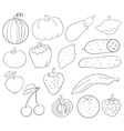 Fruits and vegetables vector image