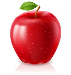 Ripe red apple vector image