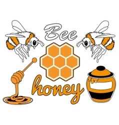 Rectangle frame with honey flowers and bees Vector Image