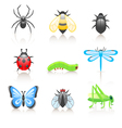 Cartoon insect icon set vector image