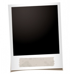 Polaroid vector image