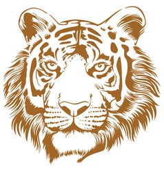 Tiger Stencil vector image