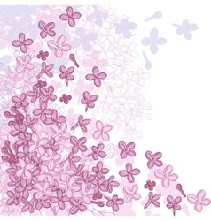 Background for design with flowers of lilac vector image