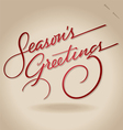 Seasons greetings hand lettering vector image