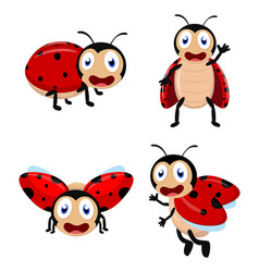 Cute ladybug cartoon cartoon collection set vector image