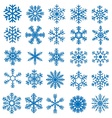 Snowflake Set vector image
