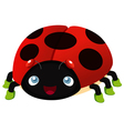 Ladybug vector image