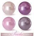 Set of pearls vector image