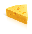 Cheese slice vector image