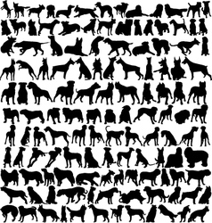 Dog silhouettes vector image