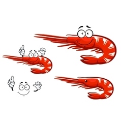 Isolated red shrimp cartoon character vector image