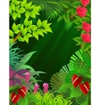 Tropical forest vector image