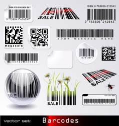 Barcodes vector image