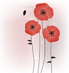 Beautiful poppies background vector image