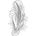 Decorative script detailed vector image