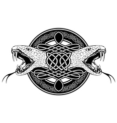 Snake with celtic pattern vector image