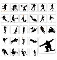 Sport silhouettes vector image