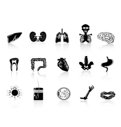 Black human anatomy icon vector image
