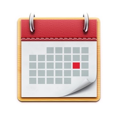 Calendar icon vector image