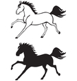 Horse contour vector image
