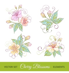 Set of cherry flowers vector image
