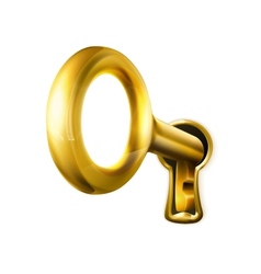 Golden key vector image