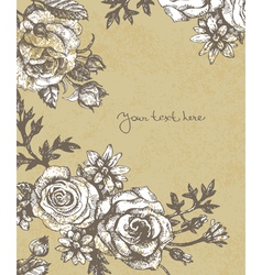 Floral background with roses vector image