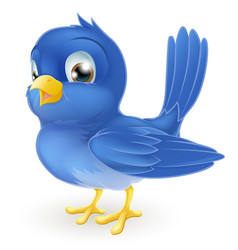 Cute cartoon bluebird vector image