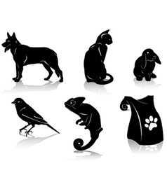 Pet vector image