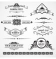 Set of design elements vector image