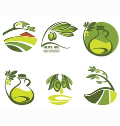 Olive oil and landscapes vector image