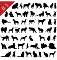Pets silhouettes vector image
