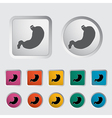 Stomach vector image