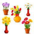 Spring and summer colorful flowers in vases vector image