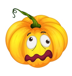Pumpkin vector image