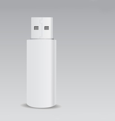 Usb flash drive vector image