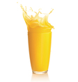 Orange juice splash vector image