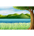 The blue sea vector image