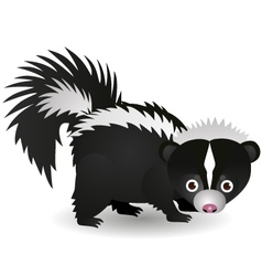Skunk cartoon vector image