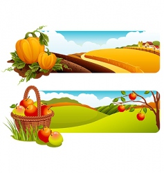 Harvest vector image