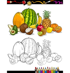 Tropical fruits group for coloring book vector image